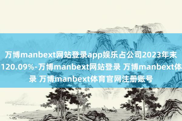 万博manbext网站登录app娱乐占公司2023年末经审计净钞票的120.09%-万博manbext网站登录 万博manbext体育官网注册账号